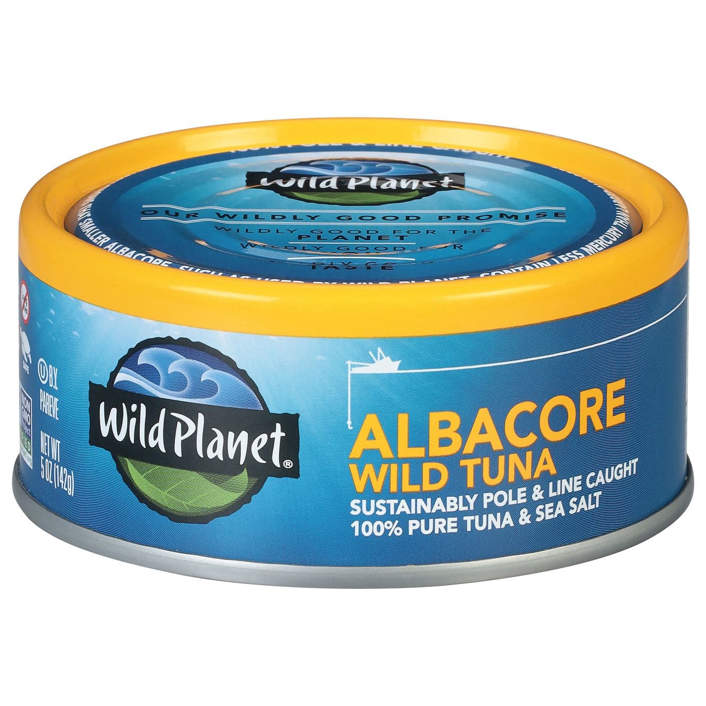 Albacore white tuna in water