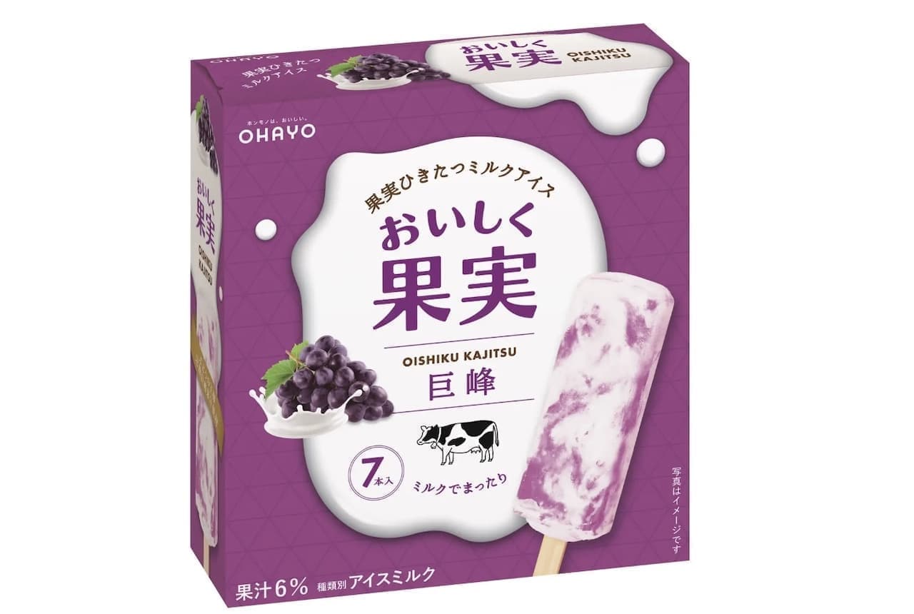 Milk Fruit Ice Cream - Grape Flavour