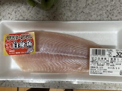 パンガシウス