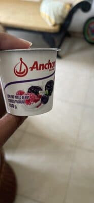 Low Fat Mixed Berry Stirred Yoghurt