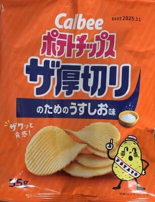Potato Chips - Salty
