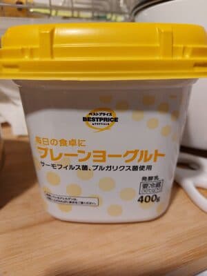 Plain Yogurt
