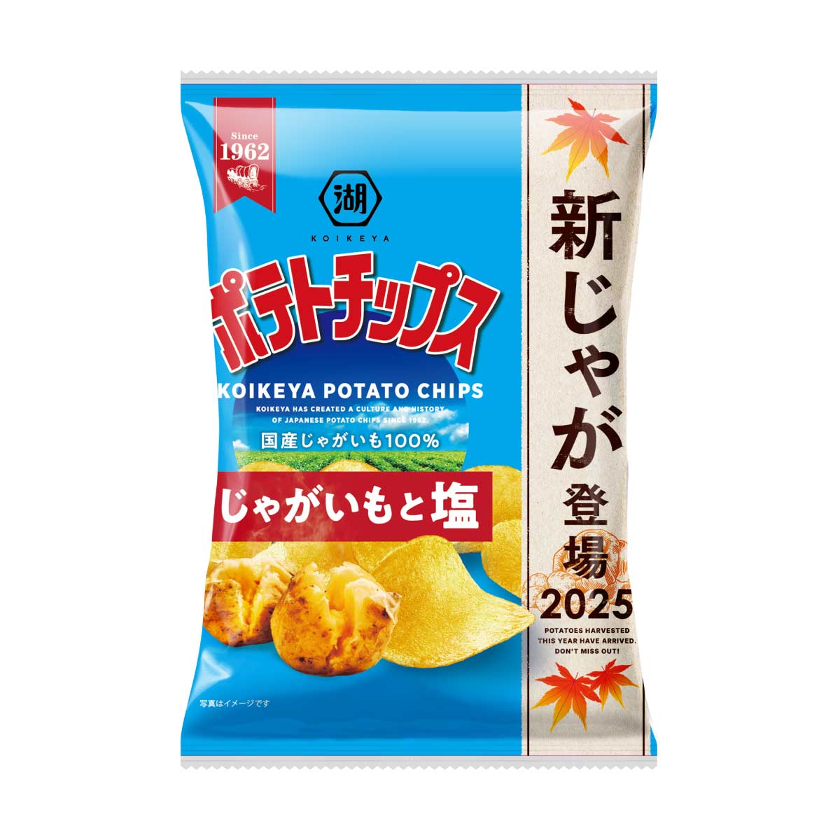 ポテトチップス　じゃがいもと塩